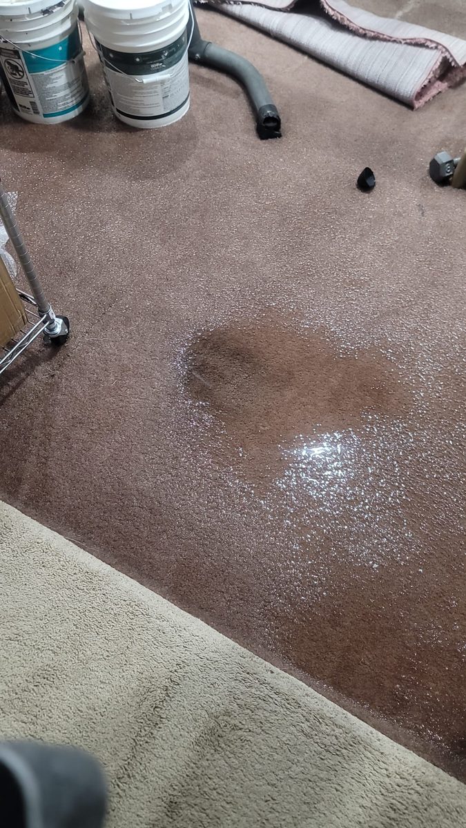 Sewer backup and water damage cleanup on a property floor in the Denver metro